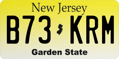 NJ license plate B73KRM