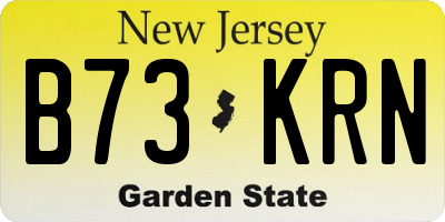 NJ license plate B73KRN