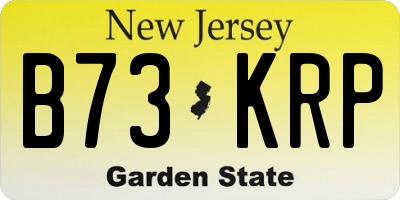 NJ license plate B73KRP