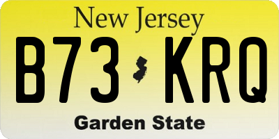 NJ license plate B73KRQ