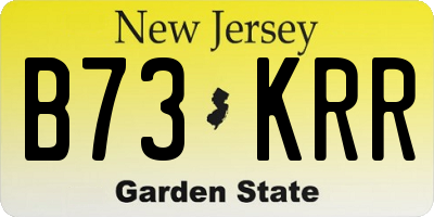 NJ license plate B73KRR