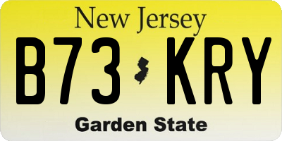 NJ license plate B73KRY