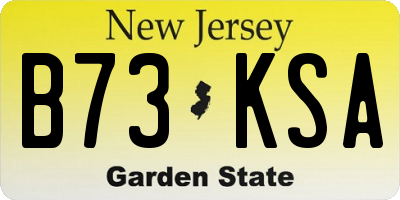 NJ license plate B73KSA