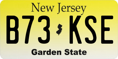 NJ license plate B73KSE