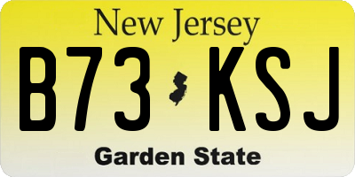 NJ license plate B73KSJ