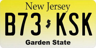 NJ license plate B73KSK