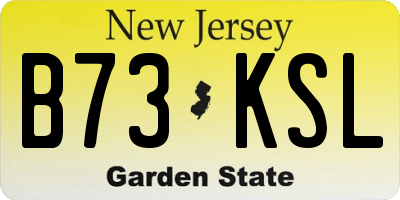 NJ license plate B73KSL