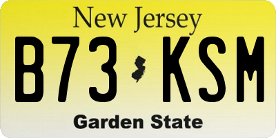 NJ license plate B73KSM