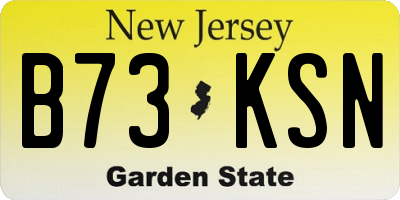 NJ license plate B73KSN