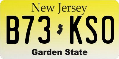 NJ license plate B73KSO
