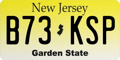 NJ license plate B73KSP
