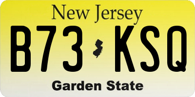 NJ license plate B73KSQ