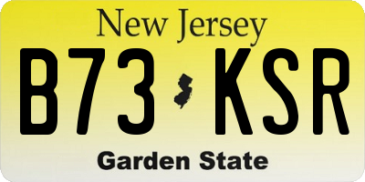 NJ license plate B73KSR