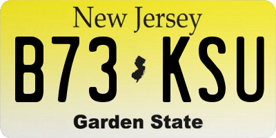 NJ license plate B73KSU