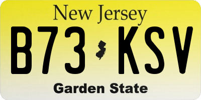 NJ license plate B73KSV