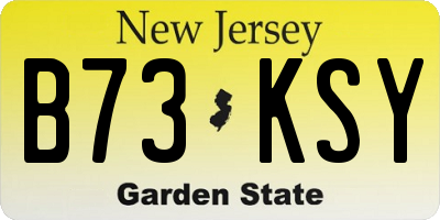 NJ license plate B73KSY