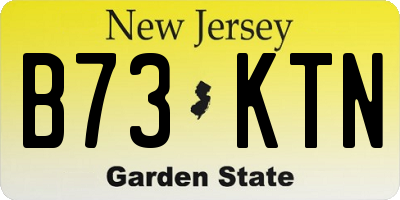 NJ license plate B73KTN