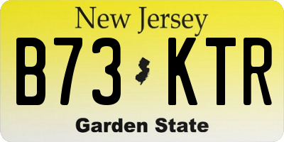 NJ license plate B73KTR