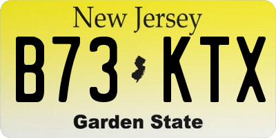 NJ license plate B73KTX