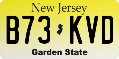 NJ license plate B73KVD