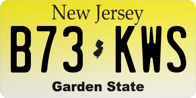 NJ license plate B73KWS