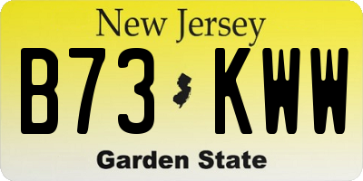NJ license plate B73KWW