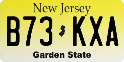 NJ license plate B73KXA