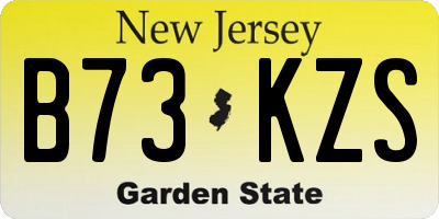 NJ license plate B73KZS
