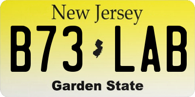 NJ license plate B73LAB