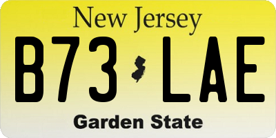 NJ license plate B73LAE