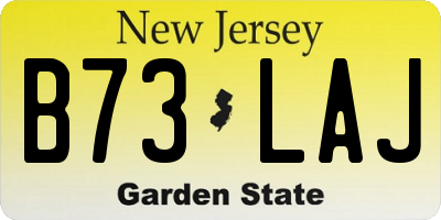 NJ license plate B73LAJ