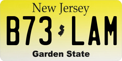 NJ license plate B73LAM
