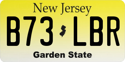 NJ license plate B73LBR