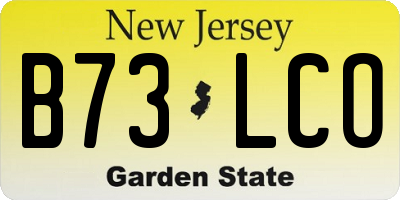 NJ license plate B73LCO