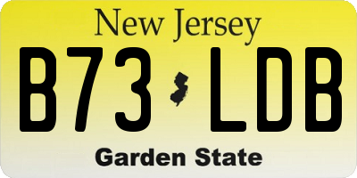NJ license plate B73LDB