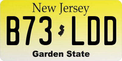 NJ license plate B73LDD