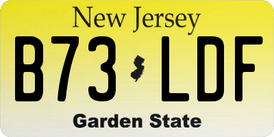 NJ license plate B73LDF