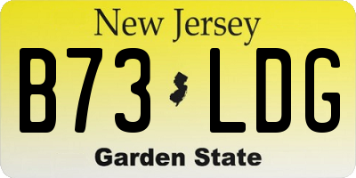 NJ license plate B73LDG