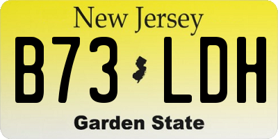NJ license plate B73LDH