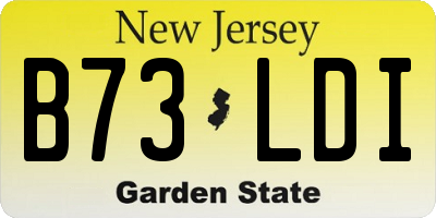 NJ license plate B73LDI
