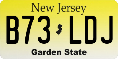 NJ license plate B73LDJ