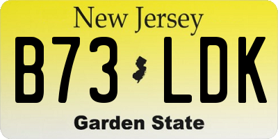 NJ license plate B73LDK