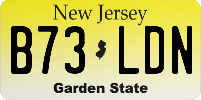NJ license plate B73LDN
