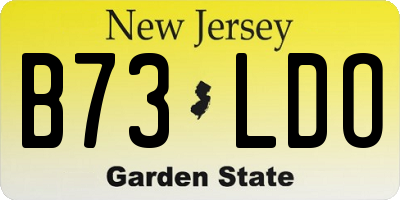 NJ license plate B73LDO