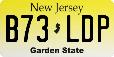 NJ license plate B73LDP