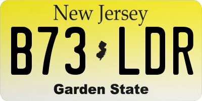 NJ license plate B73LDR