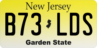 NJ license plate B73LDS