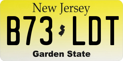 NJ license plate B73LDT