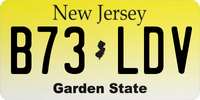 NJ license plate B73LDV