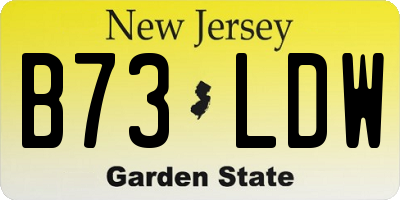 NJ license plate B73LDW
